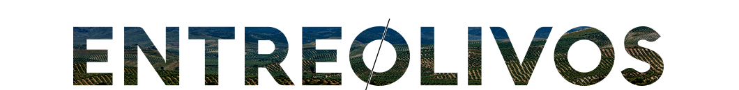 1484515500676Top-Entreolivos